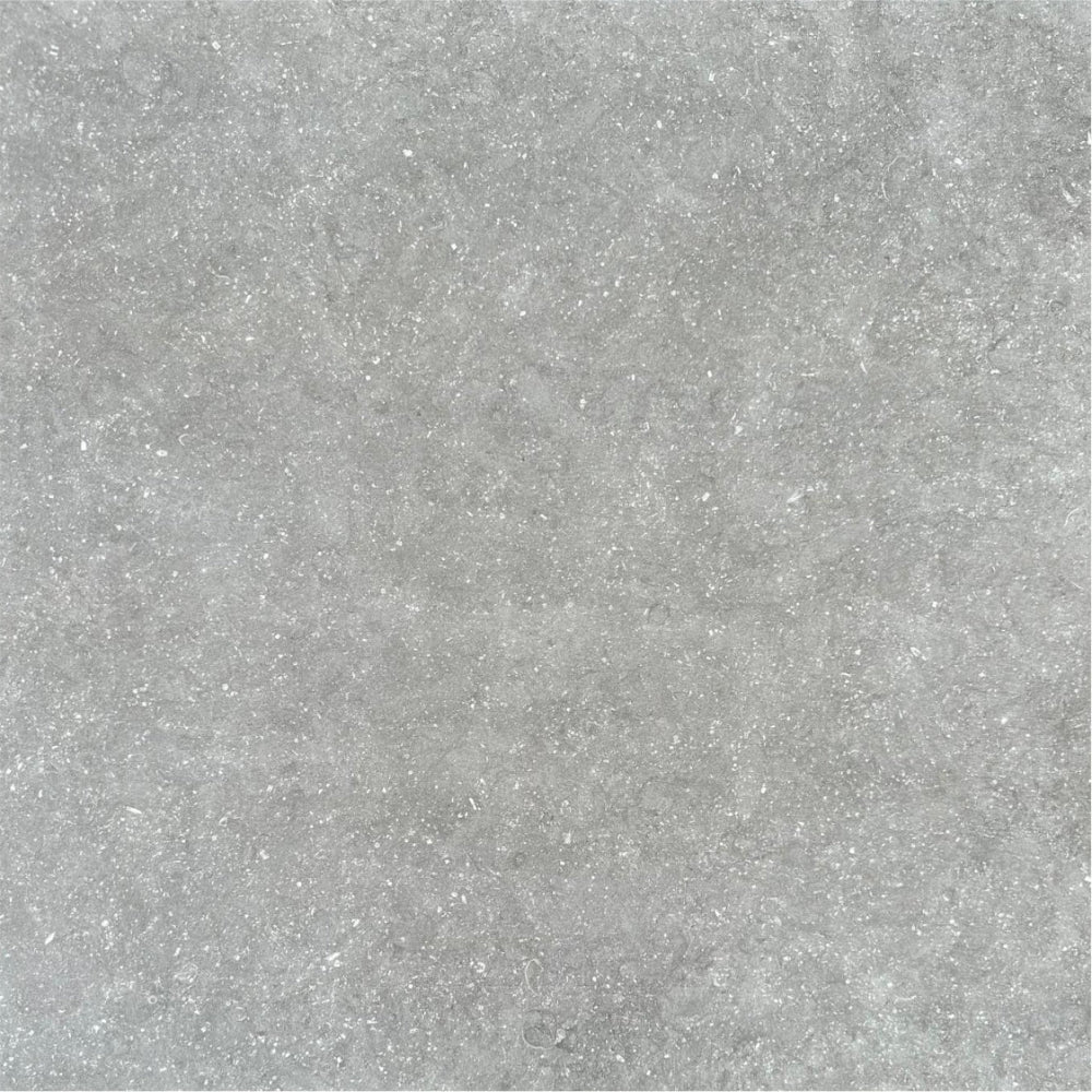 Fossil Grigio