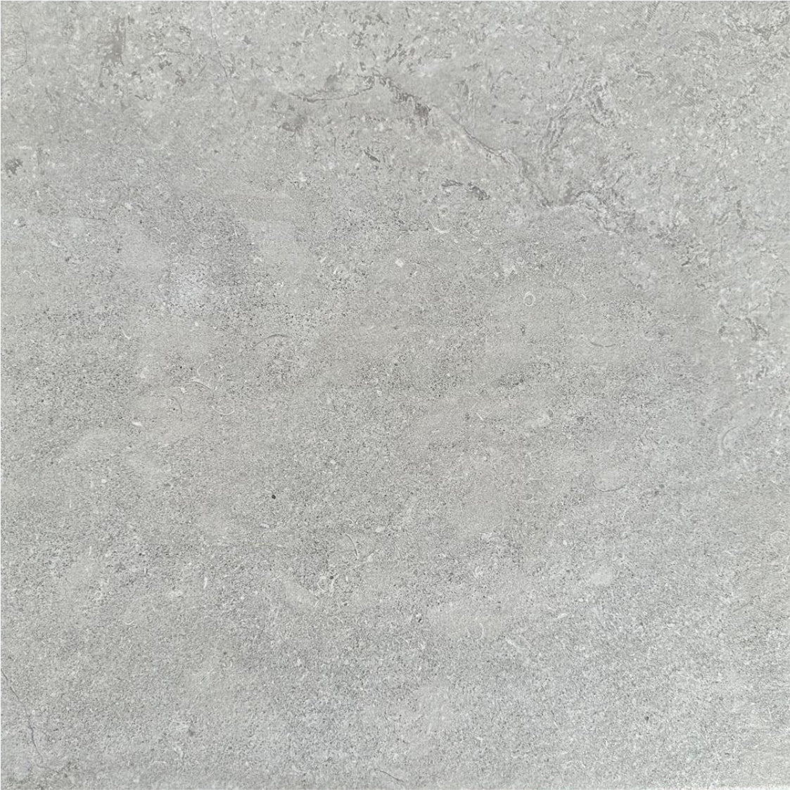 Timeless Ash Porcelain Indoor Tile