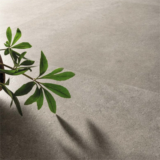Gardenia Gris Royal