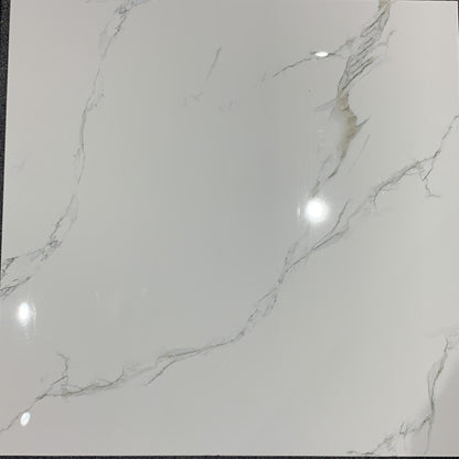 Pianosa White  Indoor Porcelain Tile